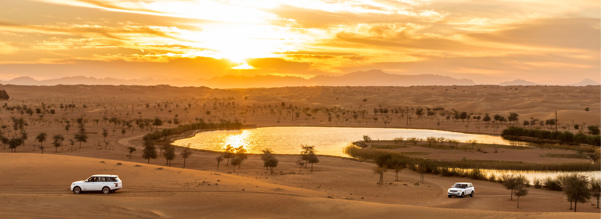 The Most Instagrammable Moments On Your Platinum Desert Safari The Most Instagrammable Moments On Your Platinum Desert Safari