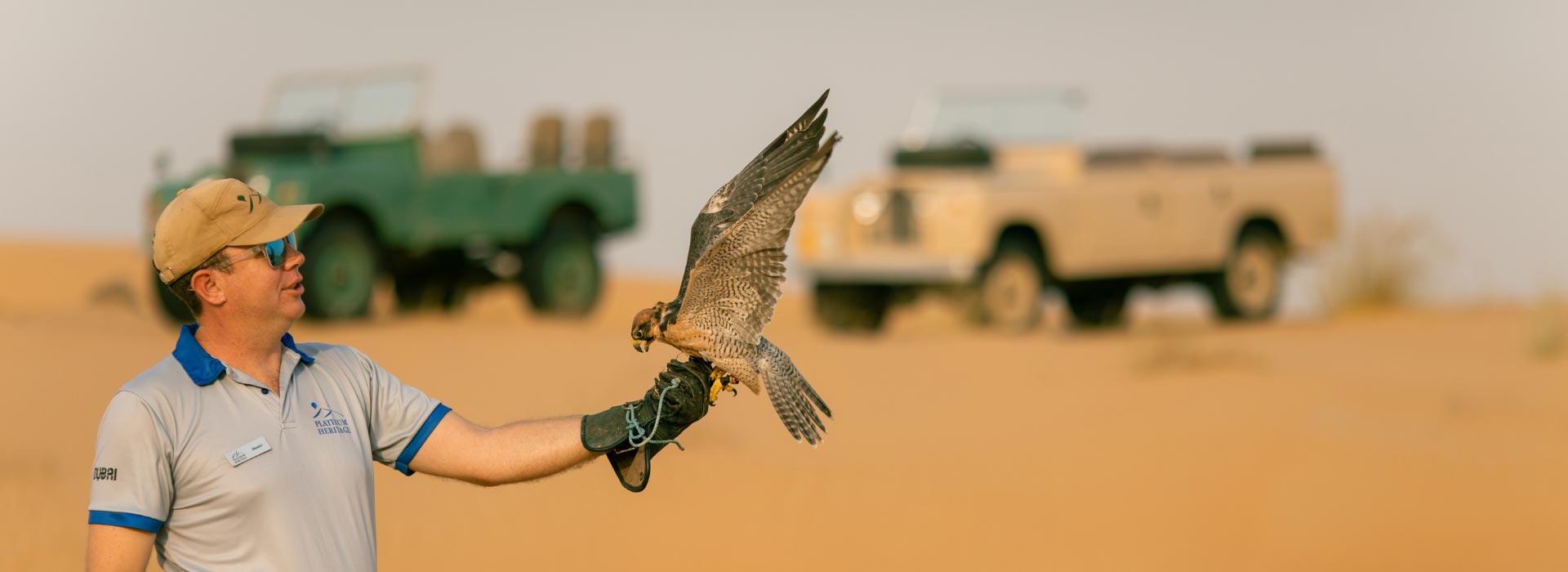 Dubai Falcon Shows – Everything you need to know