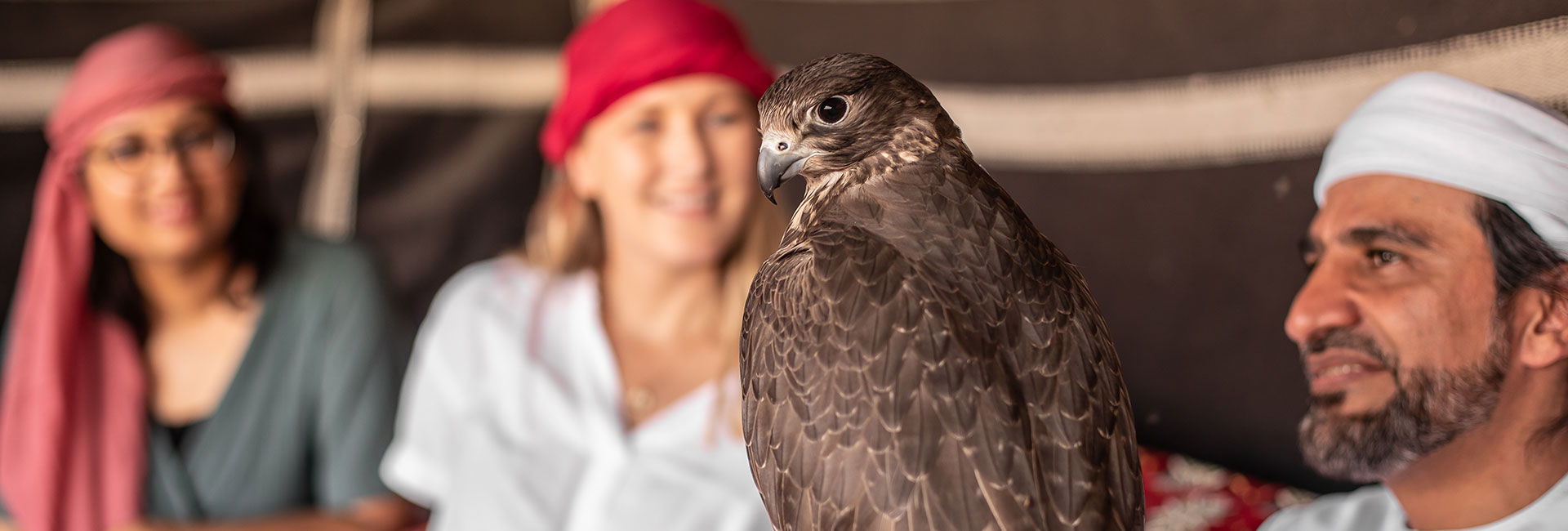 Bedouin Culture Safari