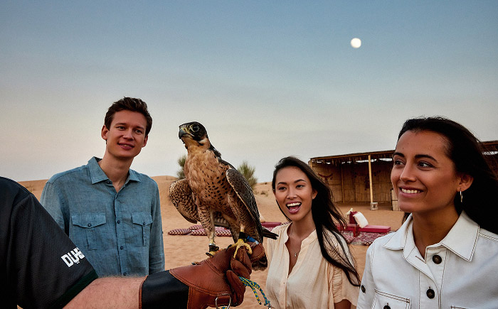 Falconeria Del Patrimonio E Safari Nella Natura