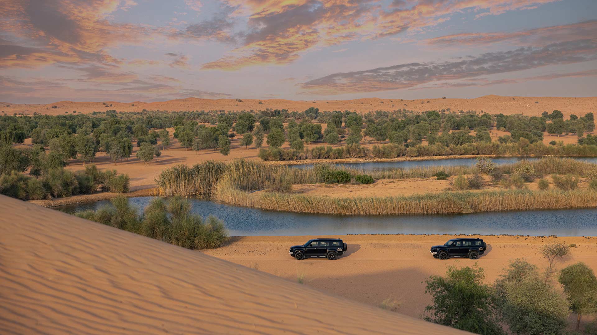 Sem Dune Bashing