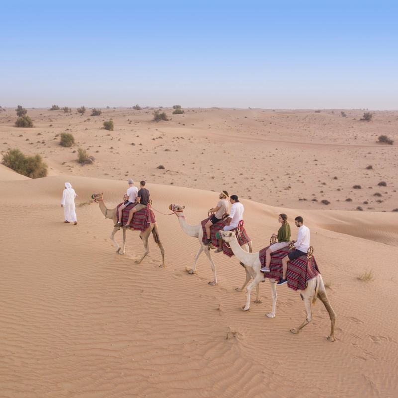 Ethical animal tourism in dubai