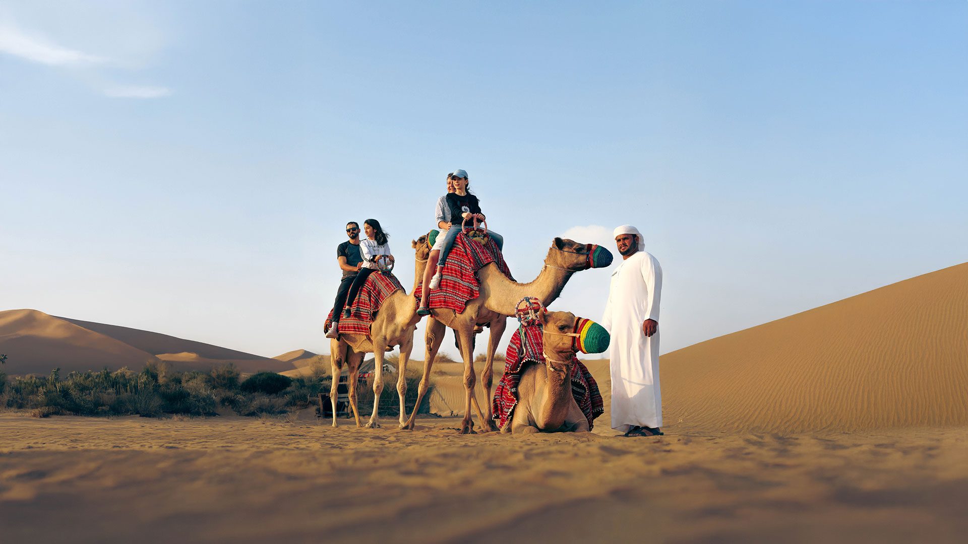 Cuidar Dos Nossos Camelos