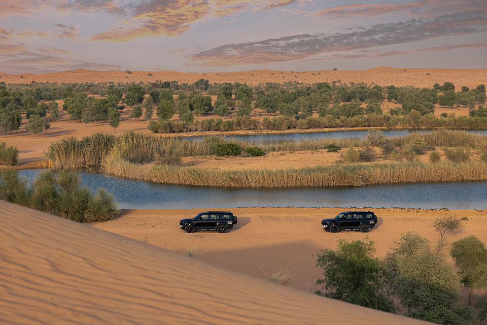  Safari de Conservación y Desayuno Platinum